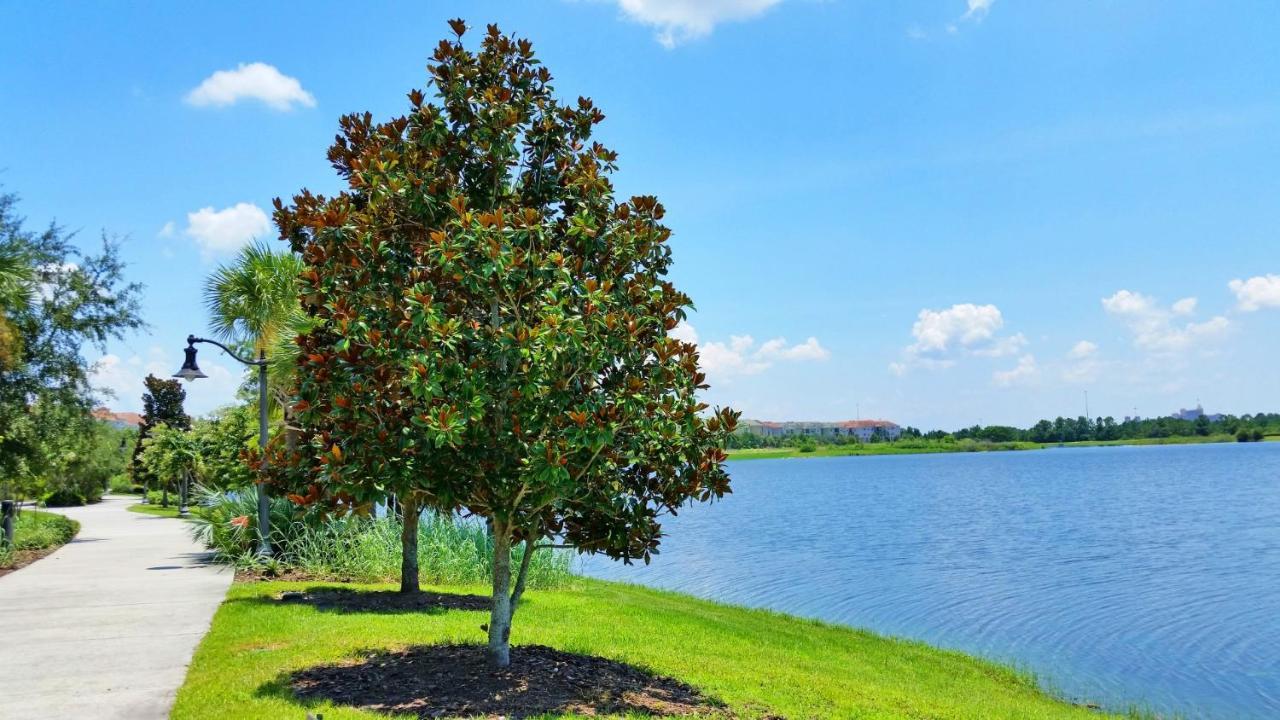 5025 Shoreway Loop #203 Orlando Extérieur photo